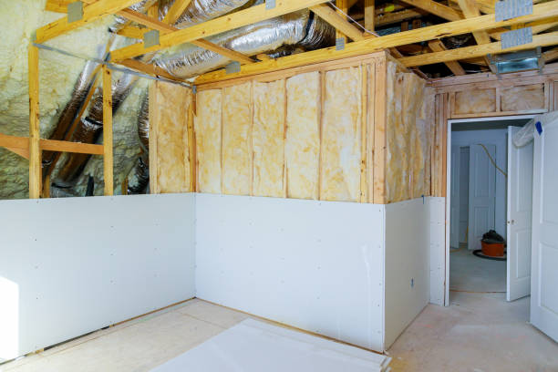 Best Insulation for New Construction  in Pendleton, SC